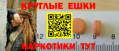 амф Гатчина