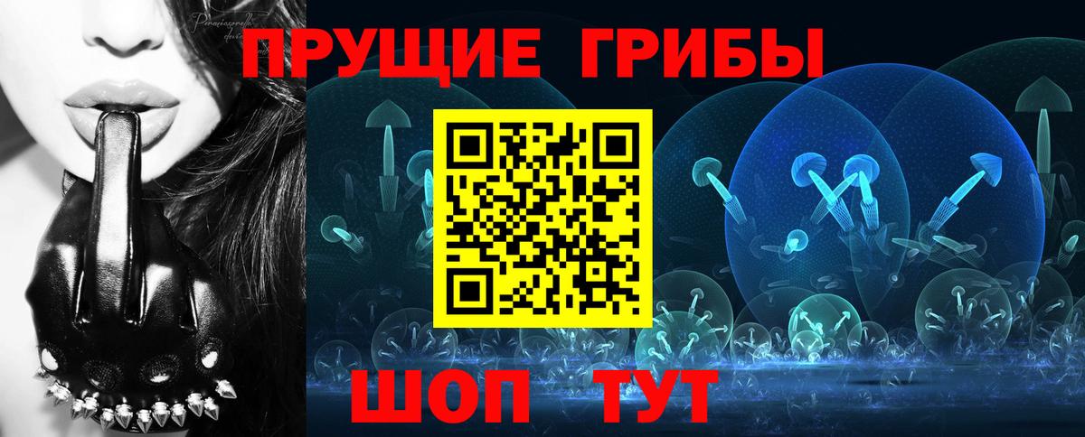 Псилоцибиновые грибы Psilocybine cubensis  Галлюциногенные грибы Psilocybine cubensis  Вход с VPN  Малоярославец 